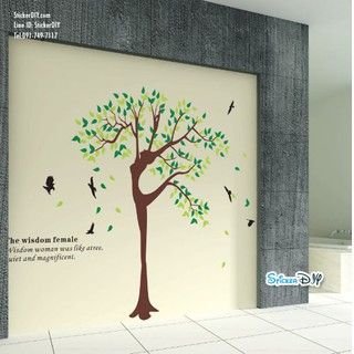 BigSize Transparent Wall Sticker สติ๊กเกอร์ติดผนัง The Wisdom Female (กว้าง230cm.xสูง180cm.)