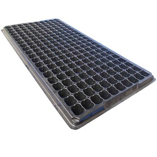 papamami Nursery Tray Korea ถาดเพาะชำเกาหลี 200หลุม