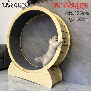 ลู่วิ่งแมว ที่วิ่งแมว 120cm  ขนาดใหญ่สุด พร้อมส่ง