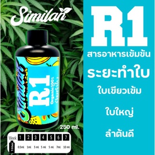 สารอาหารสำหรับการปลูกกัญชาR1(ช่วงทำใบ)​