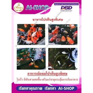 อาหารปลา อาหารปลาทอง อาหารเม็ดจมสำหรับปลา 500กรัม โตเร็ว สีสวย น้ำไม่เสียเร็ว