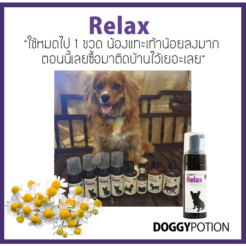 Puppy Potion Relax Waterless Cleansing Foam 150 ml ราคา ถูกที่สุด ดีลบีเคเค แกลเลอรีภาพที่ 8