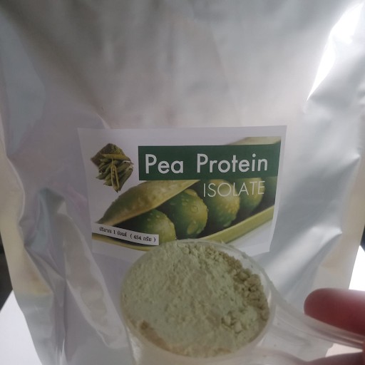 Pea Protein Isolate โปรตีนถั่วลันเตา