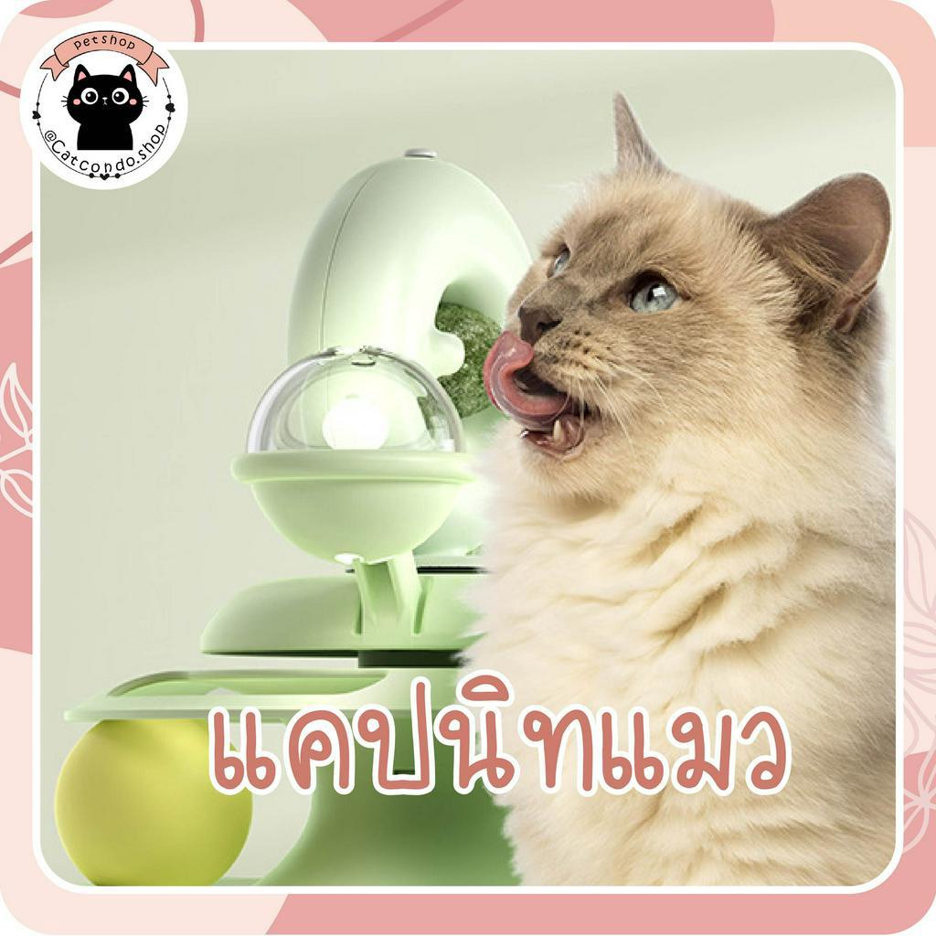 ❤️รางบอลแมว catnip ไม้ตกแมว ลูกบอลแมว รางบอลcatnip กังหันลม❤️