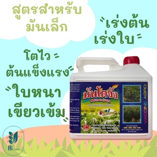 มันโตจัง เพิ่มการเจริญเติบโตของต้น ใบ โตไว ใช่สำหรับมันเล็ก 5 ลิตร