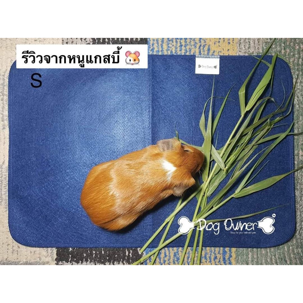 ร้านโทโมะ 💕แผ่นรองซับ ซักได้ Dog Owner รองซับสัตว์เลี้ยง แผ่นซับฉี่ แผ่นรองฉี่ ฝึกขับถ่าย ซึมซับเยี่ยม