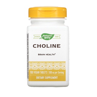 Natures Way, Choline 500 mg 100 Tablets