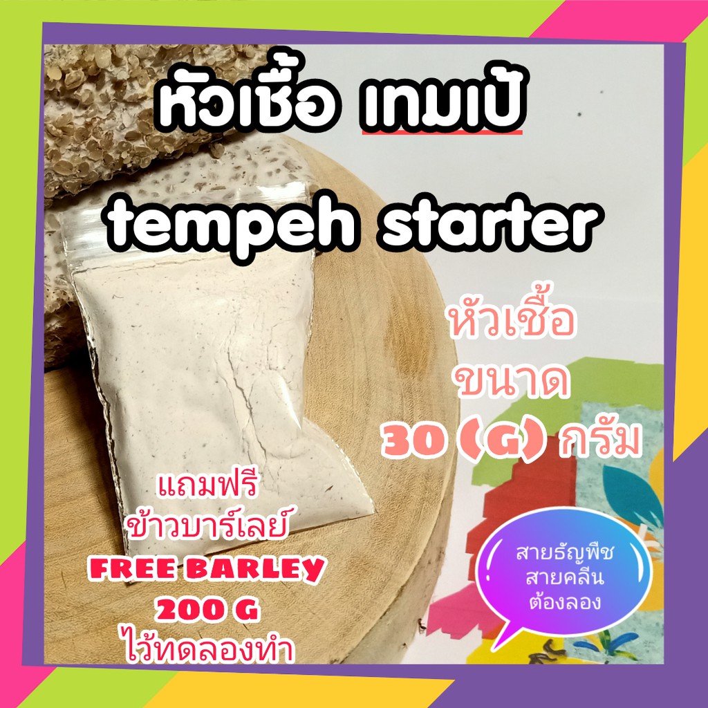 หัวเชื้อเทมเป้ tempeh starter (free barley 200gram) ถั่วหมักอินโด ขนาด 30 กรัม ฟรี ข้าวบาร์เลย์ 200 