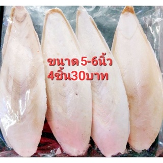 กระดองหมึก5-6นิ้ว แคลเซียมสำหรับนก