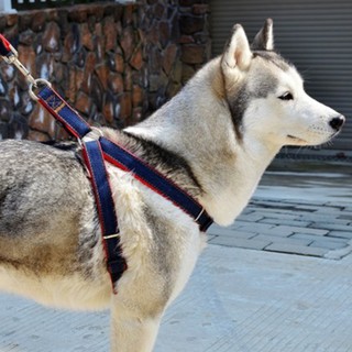 #N034 สายจูงสุนัข สายรัดอก ผ้ายีนส์  Dog Jeans Harness with leash  สายจูงสัตว์เลี้ยง สายจูงแมว