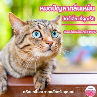 🔥ส่งฟรี ไม่ต้องใช้โค้ด🔥 Mixneral For Cat สำหรับแมว สลายกลิ่นฉี่แมว สลายกลิ่นแมว กลิ่นสะอาด