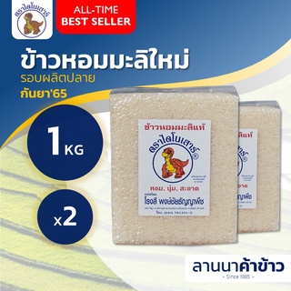 ข้าวไดโนเสาร์ (หอมมะลิ กลางปี) นำ้หนัก 1 กก. (แพ็คสูญญากาศ) x2ชิ้น