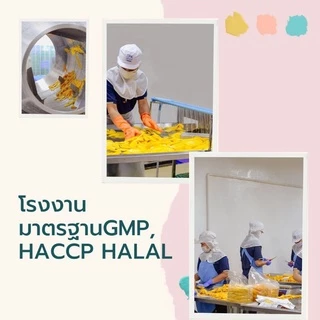 🥭มะม่วงอบแห้ง🥭 ถุง 5 กิโลกรัม เกรดพรีเมียม แผ่นใหญ่ หวานอมเปรี้ยว