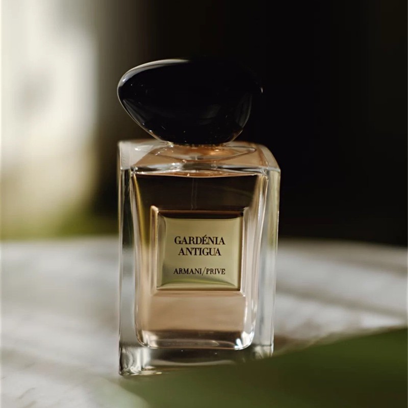 giorgio armani gardenia antigua