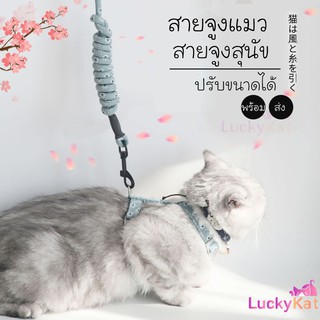 สายจูง สายจูงแมว สายจูงสุนัข ปรับระดับได้ ตัวล็อกแน่น ตัดเย็บอย่างดี 👍🏻 สินค้าพร้อมส่ง🔥