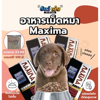 อาหารหมา อาหารสุนัข อาหารเม็ด Maxima Lamb &amp; Rice อาหารสุขภาพสำหรับสุนัขแม็กซิม่า ไม่เค็ม ดีต่อสุขภาพ