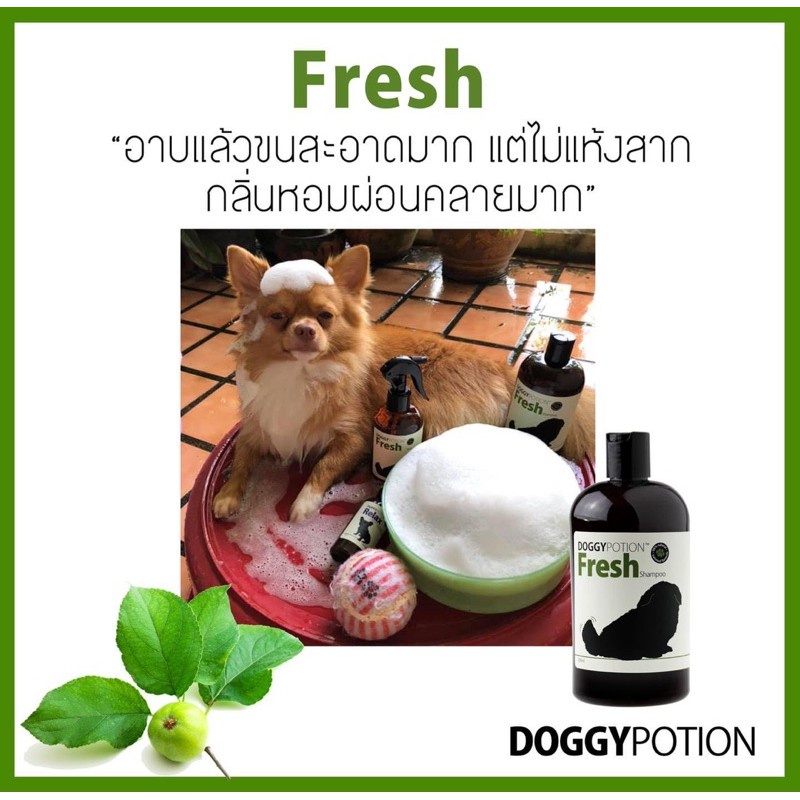 ▬✑℗Doggy Potion Fresh Shampoo แชมพูสุนัข ลดคัน ขนนุ่ม อ่อนโยน500ml.[DG02]
