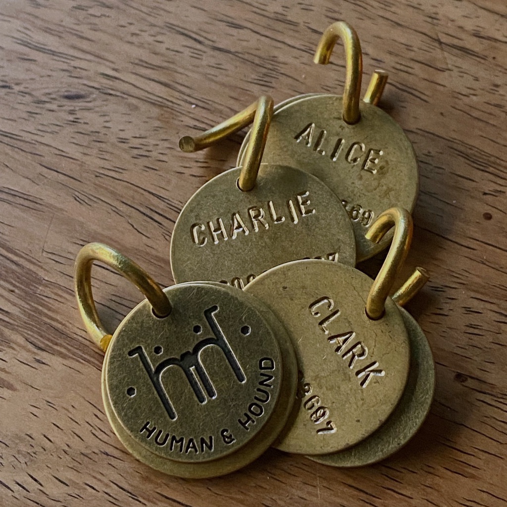 ป้ายชื่อสัตว์เลี้ยง - Handmade BRASS Name Tag ป้ายชื่อสุนัขและแมว แผ่นทองเหลืองงานตอกมือแฮนด์เมด *กรุณาอ่านคำแนะนำก่อน*
