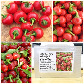 เมล็ดพันธุ์ พริกตุ้มจิ๋ว (Thai Cherry Hot Pepper Seed) บรรจุ 50 เมล็ด คุณภาพดี ราคาถูก ของแท้ 100%