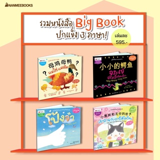 (นิทานเล่มใหญ่ปกแข็ง 3 ภาษา) Big Book จระเข้ตัวเล็กนิดเดียว / โป้งจ๋า / แม่ไก่แม่เป็ด / เจ้าถ่านกับการให้ไม่รู้จบ NMB