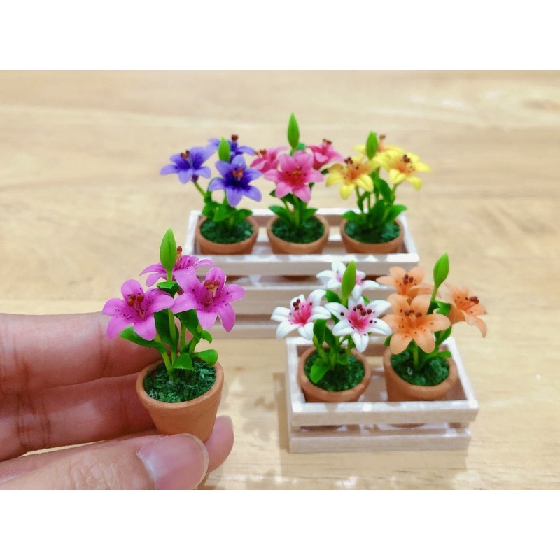 ช่อดอกลิลลี่จิ๋ว ในกระถางดินเผาสีน้ำตาล ขนาดความสูง 4.5cm.