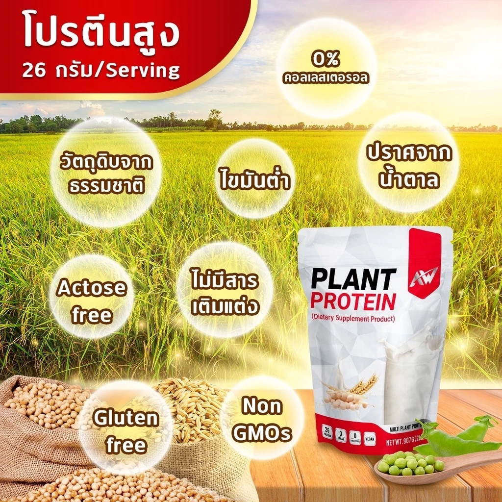 AW-PLANT PROTEIN สูตรเจ โปรตีนพืชหลายชนิด ขนาด 907 กรัม กล้ามเนื้อ ลีน อิ่มนาน ฟิต โปรตีนสูง คีโต วีแกน thumbnail 3