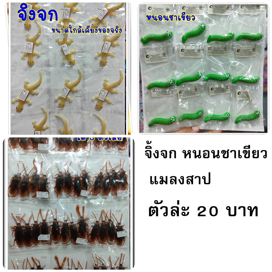 จิ้งจก หนอนชาเขียว แมลงสาป ตัวละ​20​บาท​ขนาดใกล้เคียงของจริง ของเล่นแมว ดี