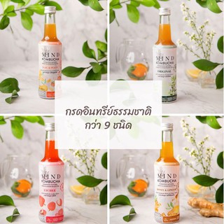 Mind Kombucha ชาหมักธรรมชาติ (ขนาด 250 ml.)