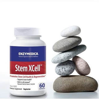 [พร้อมส่ง] สเต็มเซลล์ Enzymedica, Stem Xcell 60 Capsules