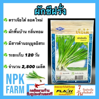 ผักซอง เจียไต๋ ผักชีฝรั่ง จำนวน 2,800 เมล็ด/ซอง เมล็ดพันธุ์ ลอตใหม่ ปลูกง่าย ผักพื้นบ้าน กลิ่นหอม มีสารต้านอนุมูลอิสระ