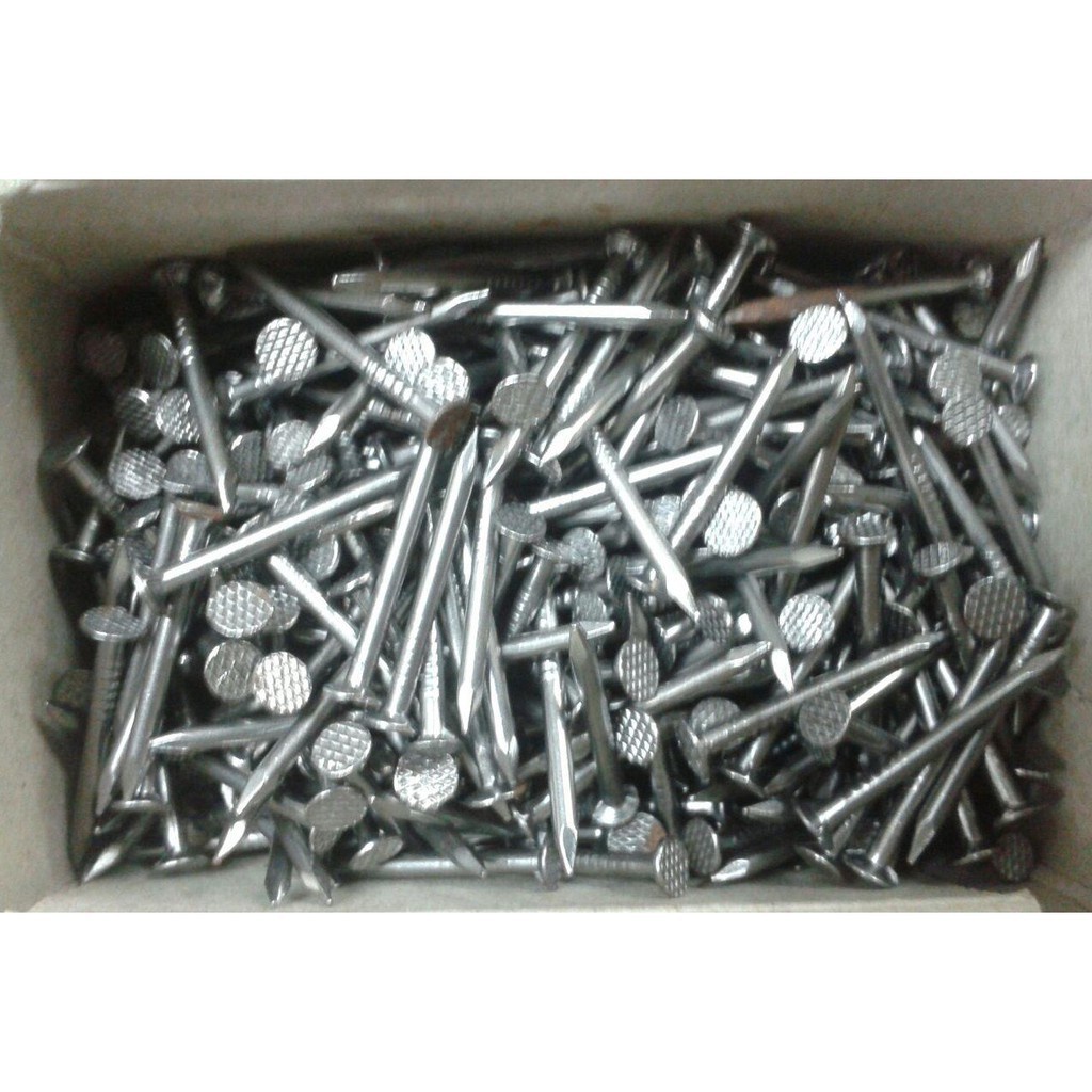 PAKU PLYWOOD (FLAT HEAD NAIL) 100 กรัม