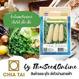 CTOP เมล็ดพันธุ์ ข้าวโพดเทียนขาว ตราเจียไต๋ Corn ข้าวโพดสรอย Small Waxy Corn