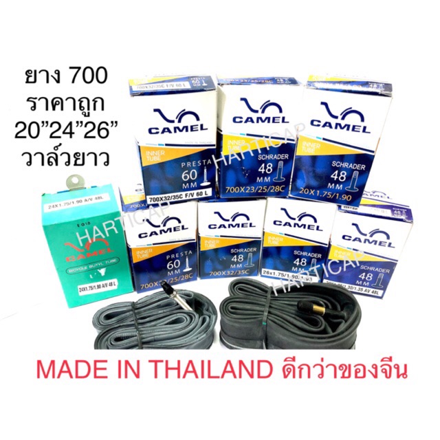 My Image 25