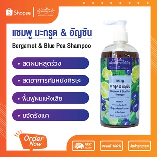 แชมพูมะกรูด อัญชัน ฟื้นฟูผมเสีย แห้ง ให้มีน้ำหนัก และแข็งแรง ขนาด 500 ml ขวดใหญ่ คุ้มมาก