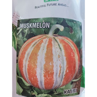 Muskmelon กาจารี่เมล่อน