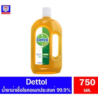 เดทตอล น้ำยาฆ่าเชื้อโรคอเนกประสงค์ Dettol Hyfiene Multi-use Disinfectant. ขนาด 750 มล.