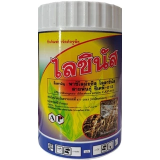 ชีวภัณฑ์ ไลซินัส เชื้อรา พาซิโลมัยซิส ไลลาซินัส 1000 กรัม