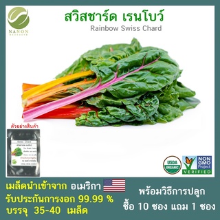เมล็ดสวิสชาร์ท เรนโบว์ (Rainbow Swiss Chard) 35-40 เมล็ด