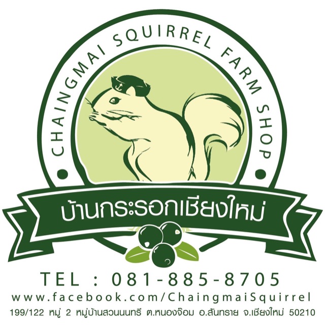 บ้านกระรอกเชียงใหม่ store logo