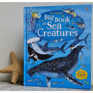 Big book of Sea creatures เหมาะสำหรับ 3 ขวบ+  Board book กระดาษแข็งทุกหน้า