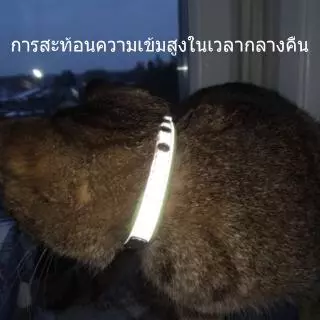 ปลอกคอสัตว์เลี้ยง แบบสะท้อนแสง ปรับได้ สำหรับลูกสุนัข สุนัข แมว