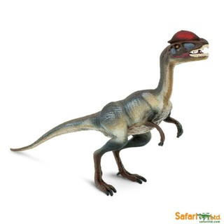 Safari Ltd. : SFR287829 โมเดลไดโนเสาร์ Dilophosaurus