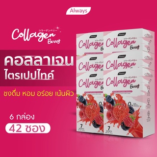 collagen berry เน้นผิวสวย คอลลาเจนไตรเปปไทด์ จาก เบอร์รี่ เน้น ผิวนุ่ม ลื่น น่าสัมผัส collagen tripeptide (6กล่อง 42ซอง)