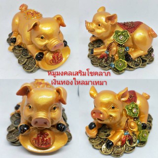 หมูมงคลเสริมส่งโชคลาภเงินทอง