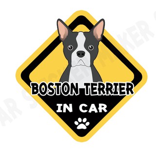 สติกเกอร์ติดรถ สติ๊กเกอร์ติดรถยนต์ สติกเกอร์หมา DGA45  Boston Terrier dog