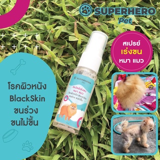 SUPERHERO Pets สเปรย์ เร่งขน หมา แมว ปัญหาผิวหนัง ขนไม่สวย ขนไม่ขึ้น สเปรย์หมา สเปรย์แมว