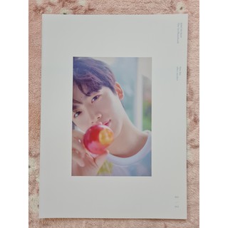 [พร้อมส่ง] หน้าโฟโต้บุ๊ค Photobook Cut คิมโยฮัน Kim Yohan One Day After Another : 1st Photo Book X1 Bae173