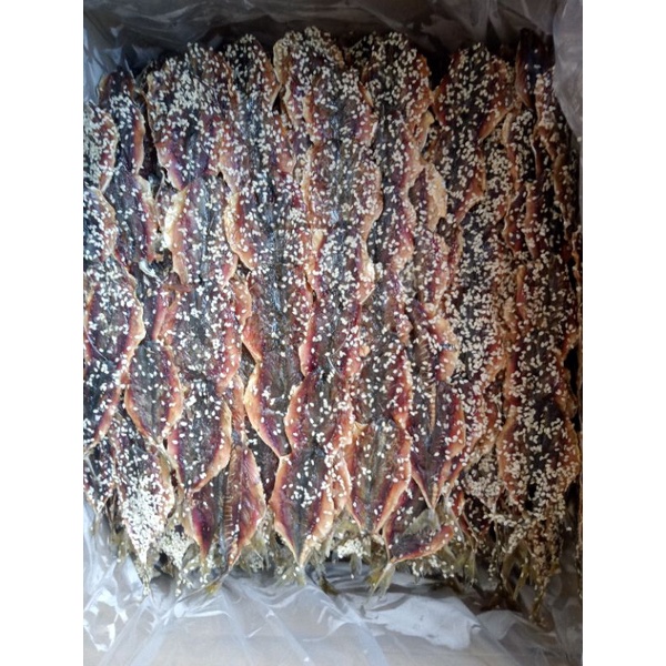 ปลาทูมีงาน้ำหนัก500กรัม