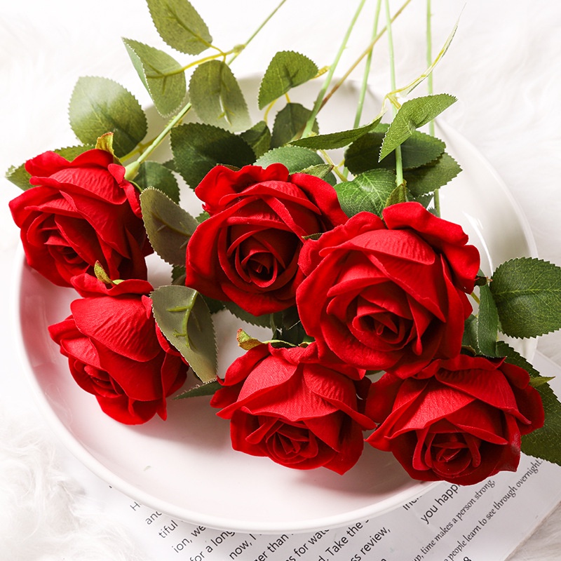 รูปภาพ 4