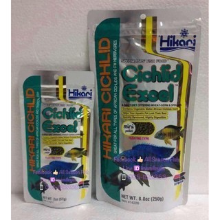 HIKARI &gt; Cichlid Excel (หมอสีเขียวเข้ม) สำหรับปลาหมอ ชนิดลอยน้ำ